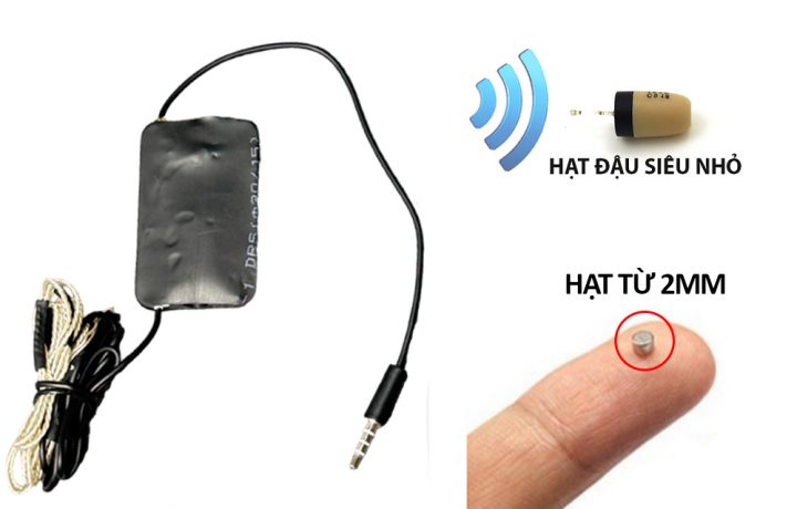 So sánh giữa tai hạt đậu và hạt từ