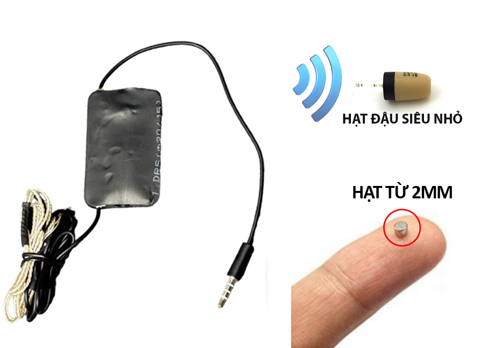 So sánh giữa tai hạt đậu và hạt từ