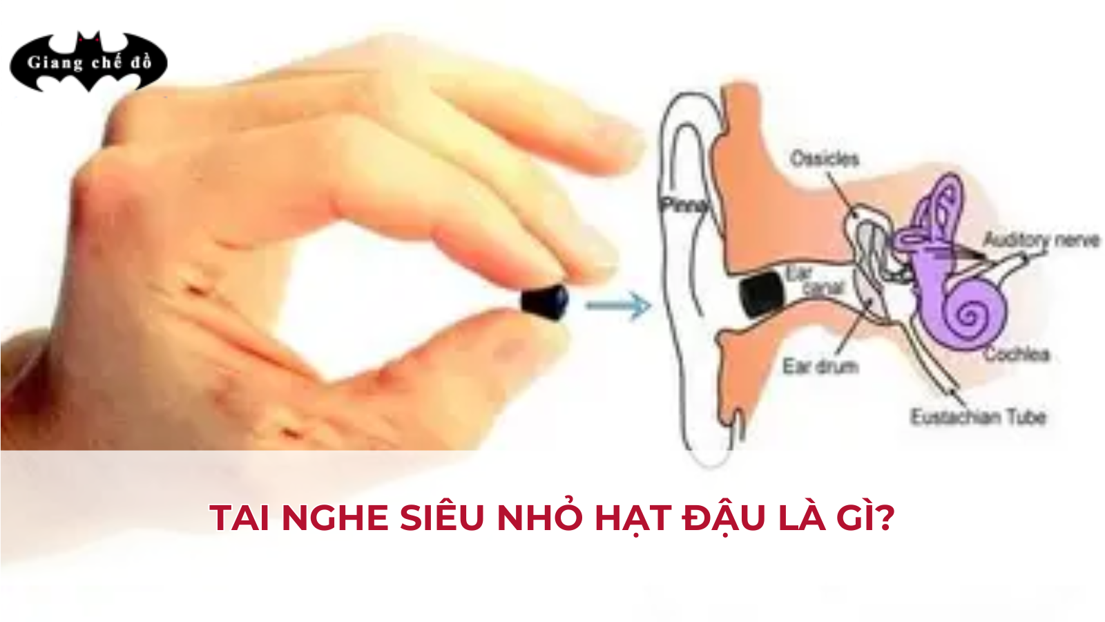 Tiêu chí chọn Tai nghe siêu nhỏ không dây cho thi cử hợp lệ