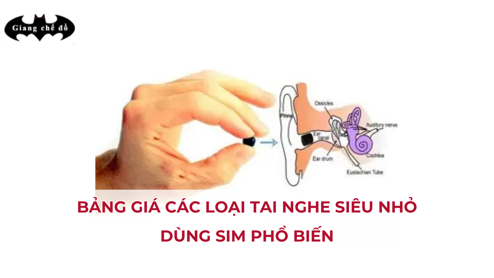 Bảng giá các loại tai nghe siêu nhỏ dùng sim phổ biến